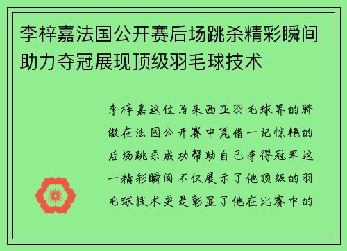 李梓嘉法国公开赛后场跳杀精彩瞬间助力夺冠展现顶级羽毛球技术